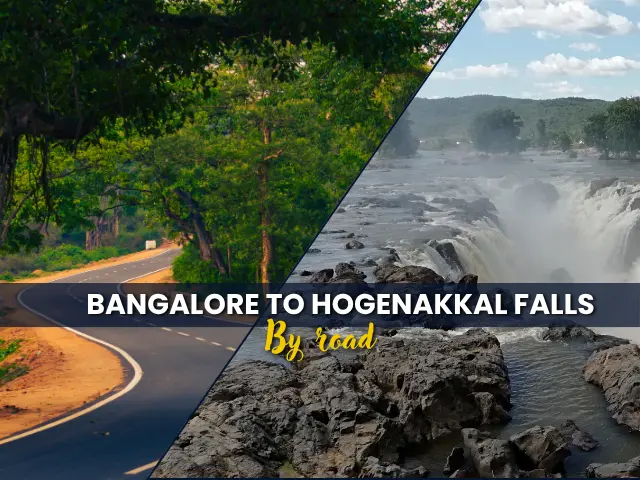 The Ultimate Guide for a Bangalore to Hogenakkal Falls Trip: Distance, Routes, & Planning Tips