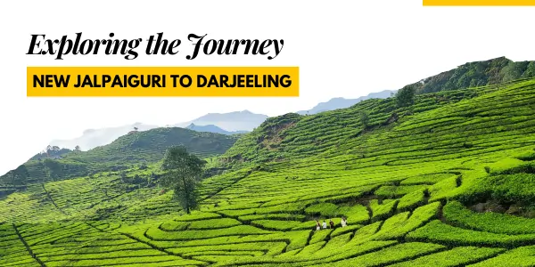 New Jalpaiguri to Darjeeling Journey: Best Routes, Distance & Travel Tips