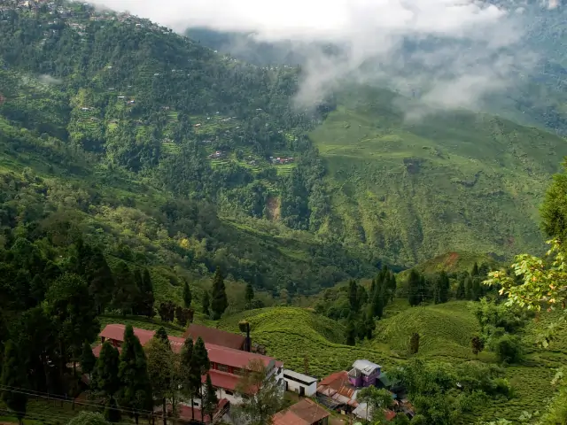 Bagdogra