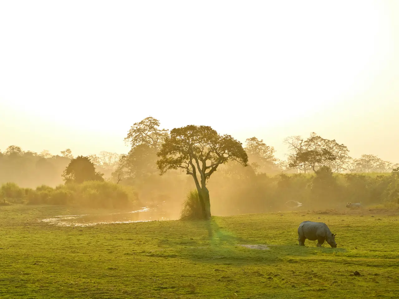 Bandhavgarh