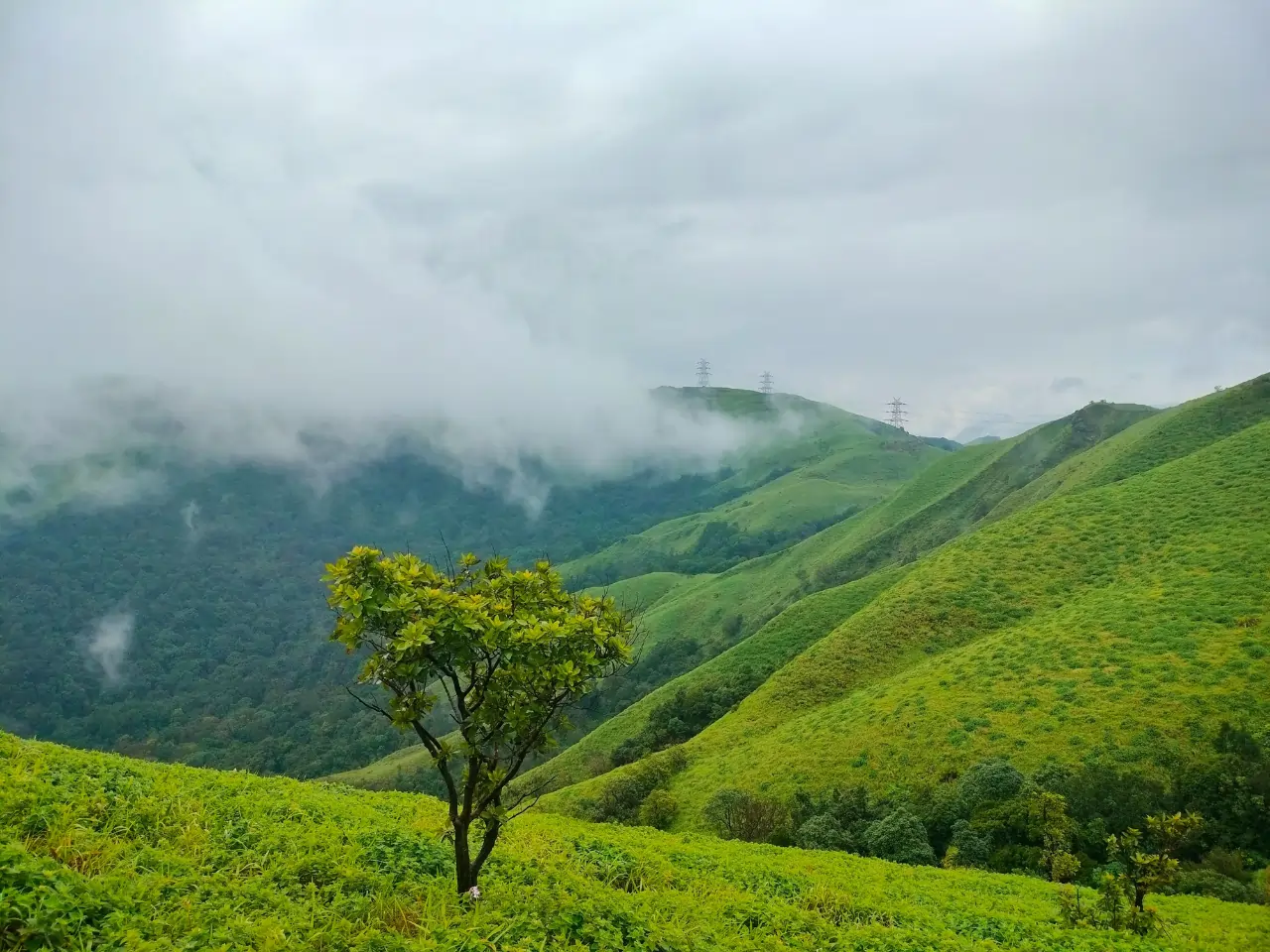 Chikmagalur