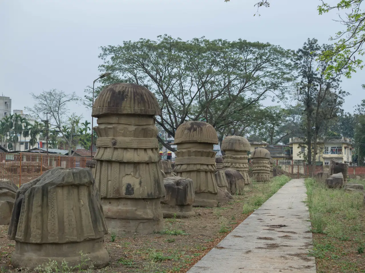 Dimapur
