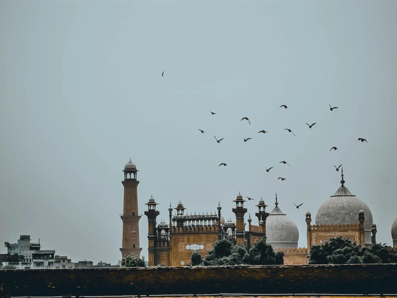Faridkot