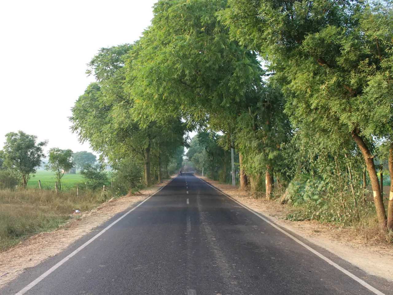 Fatehabad