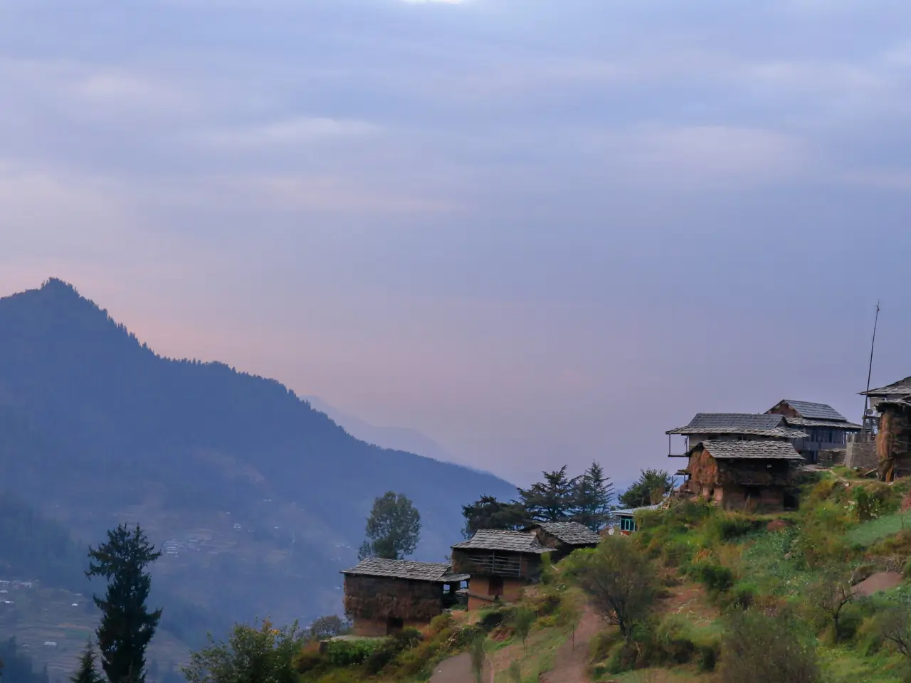 Jibhi