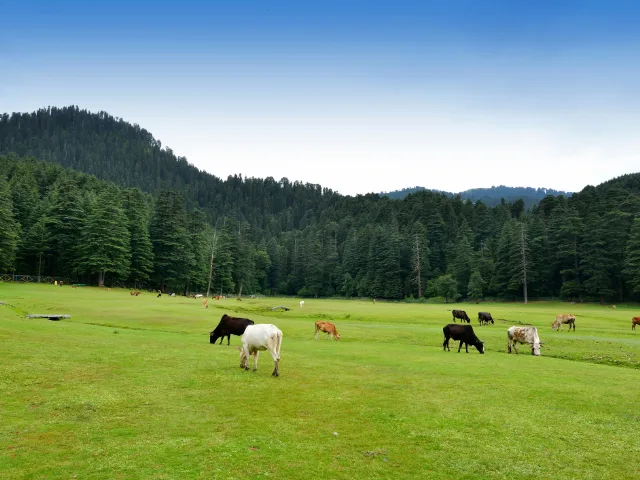 Khajjiar
