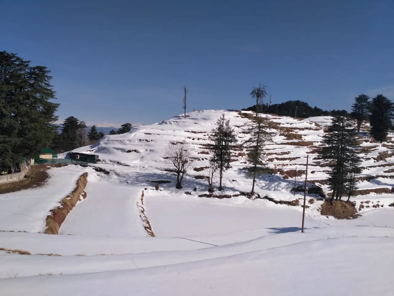 Kufri