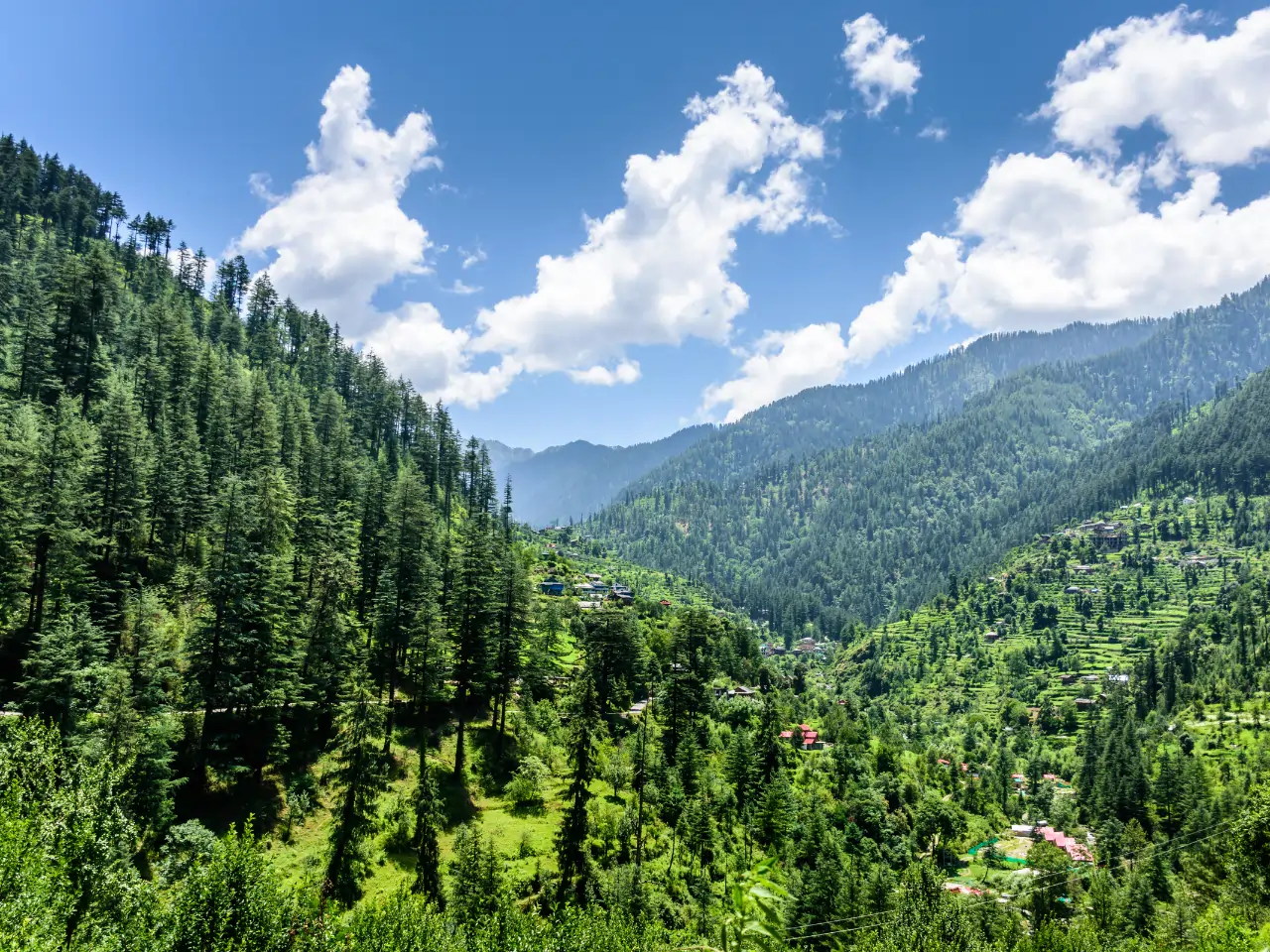 Naldehra