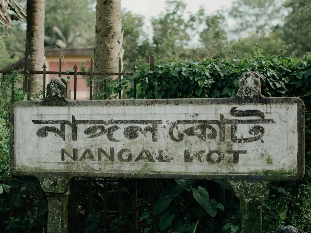 Nangal