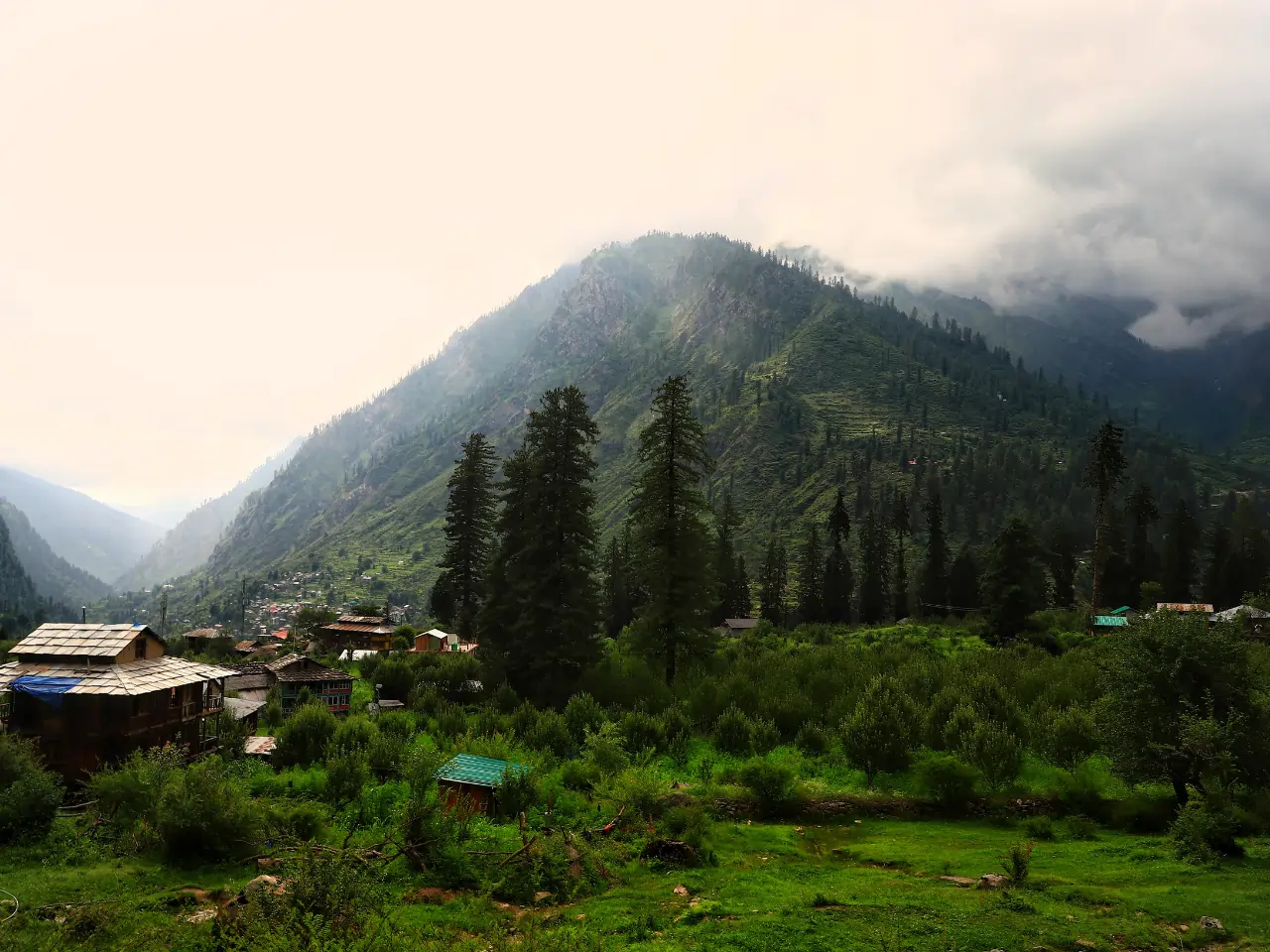 Palampur