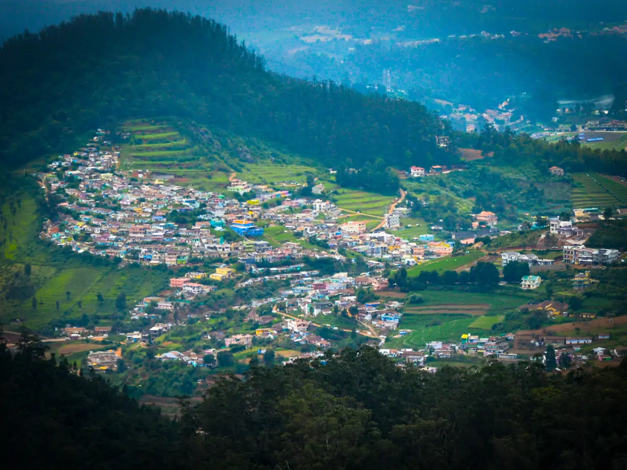 Palani