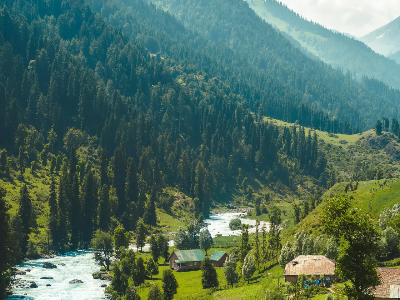 Patnitop