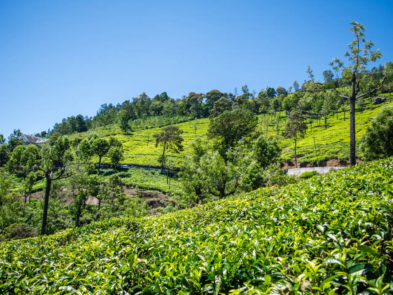 Perundurai