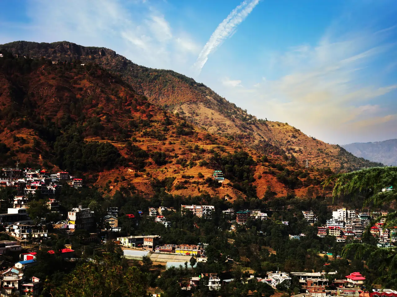 Solan