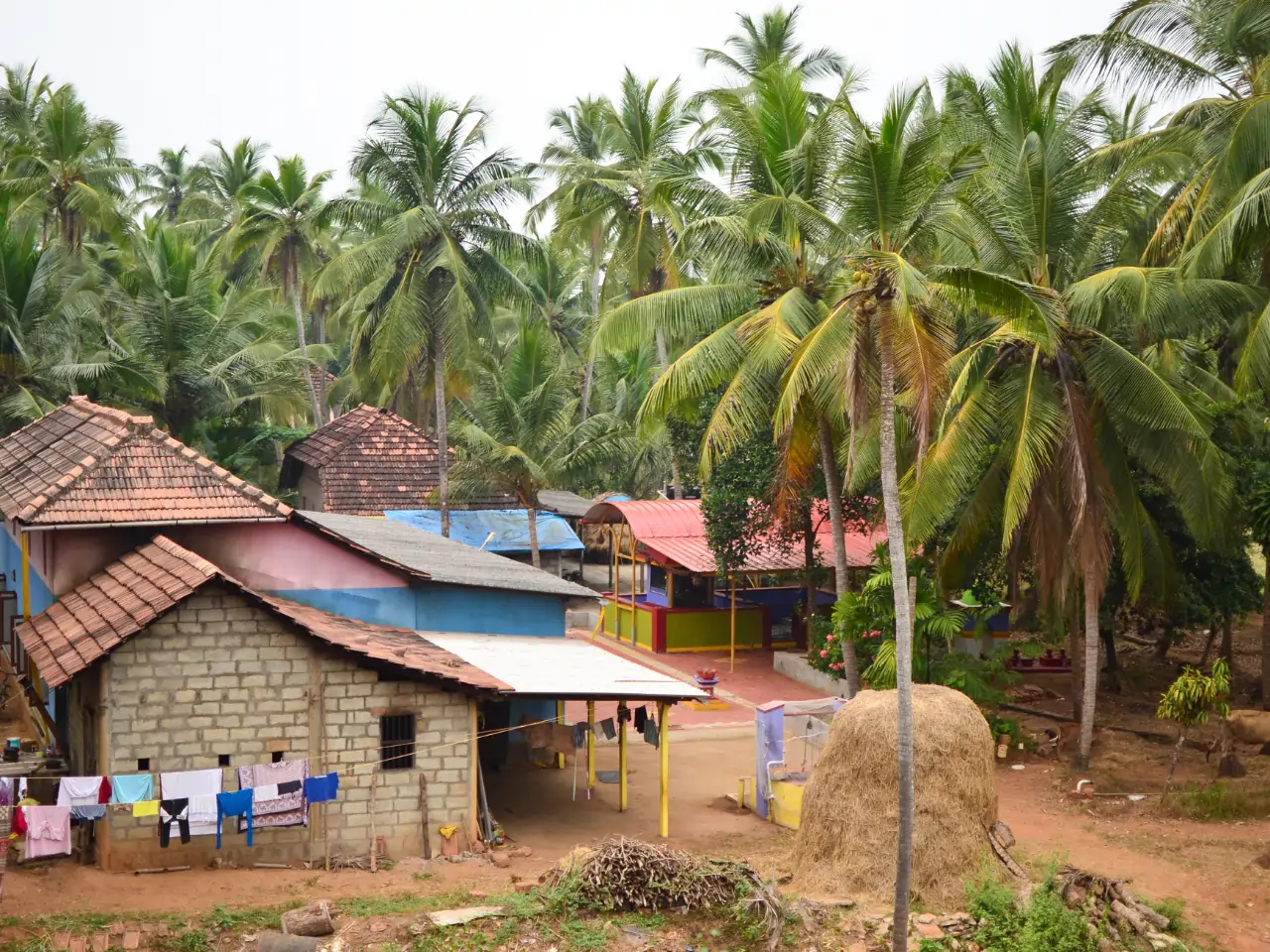 Thivim