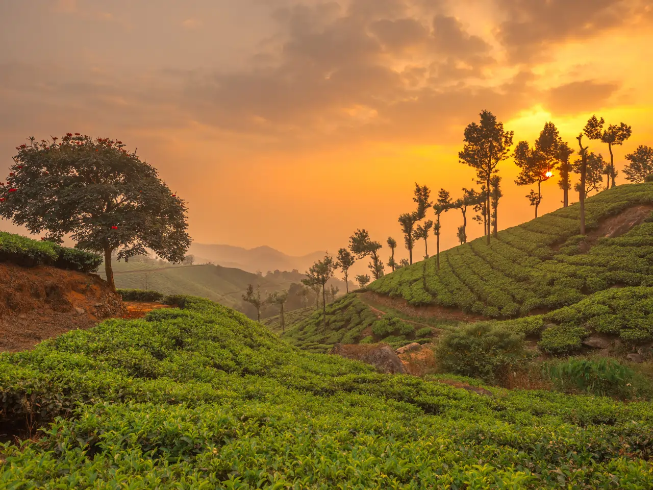 Vagamon