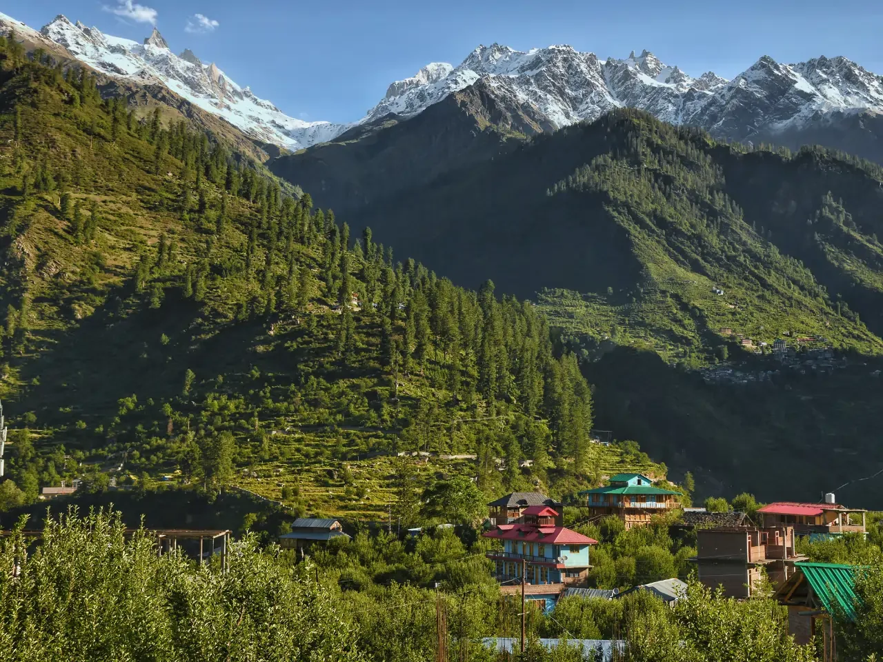 Palampur